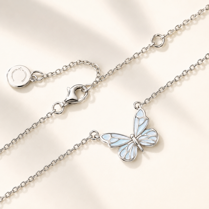 Collection Papillon Lueur Bleue