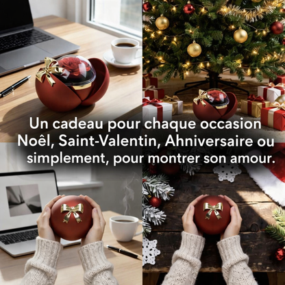 Collier Personnalisé avec Boîte Rose Éternelle