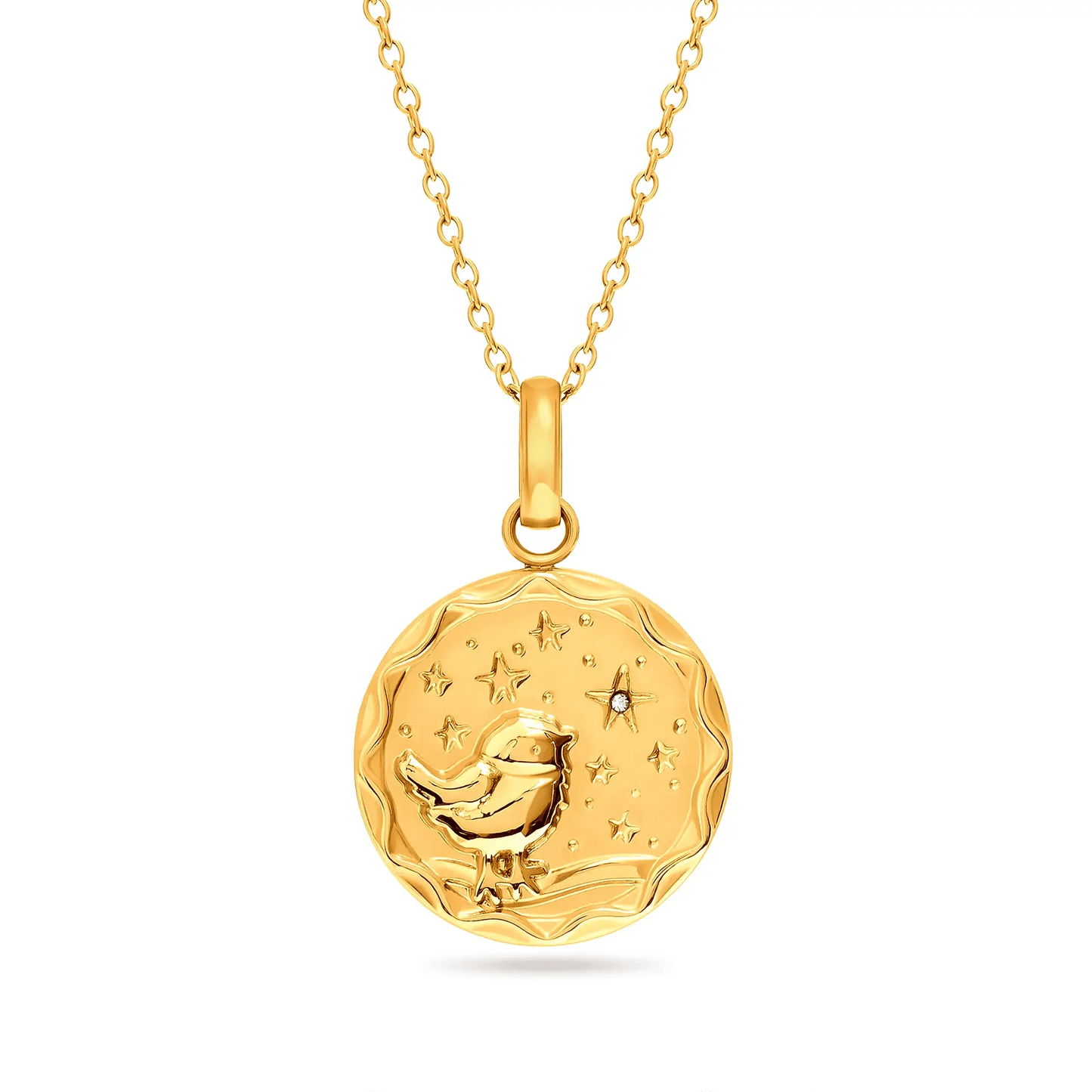 Collier médaille oiseau étoilé