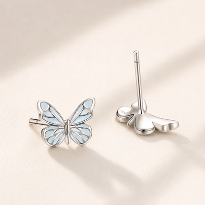 Collection Papillon Lueur Bleue
