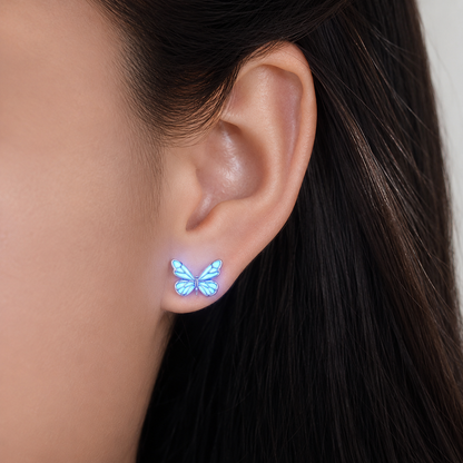 Collection Papillon Lueur Bleue