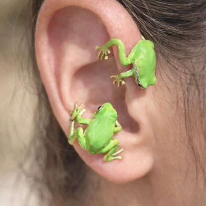 Ensemble Grenouille Élégante