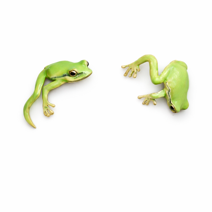 Ensemble Grenouille Élégante