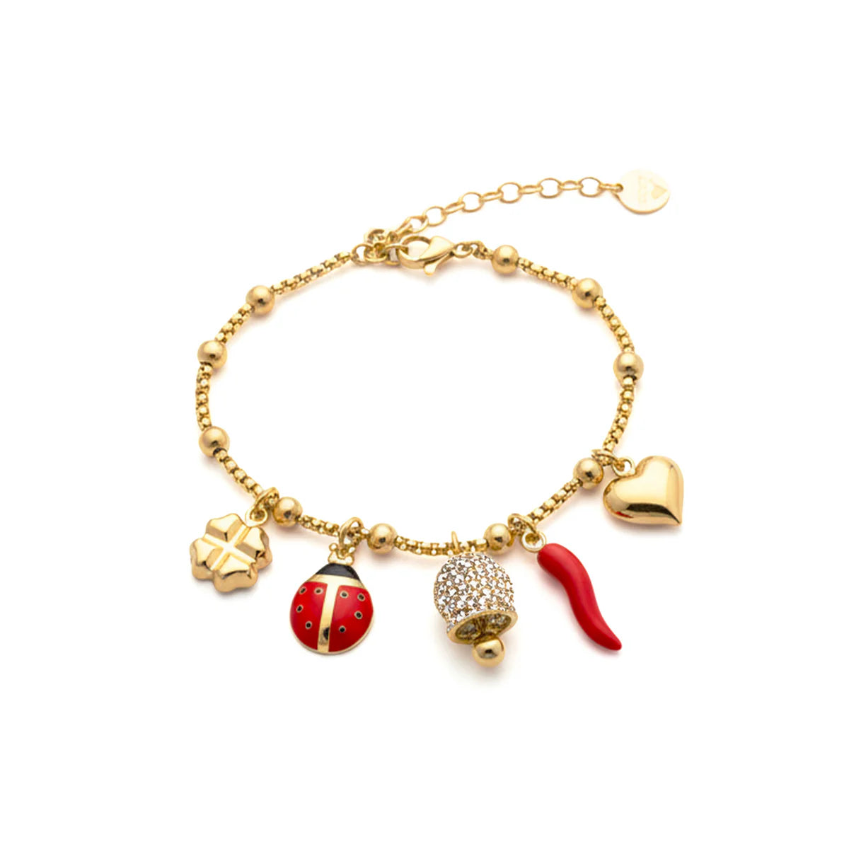 Bracelet Porte-Bonheur Délicat