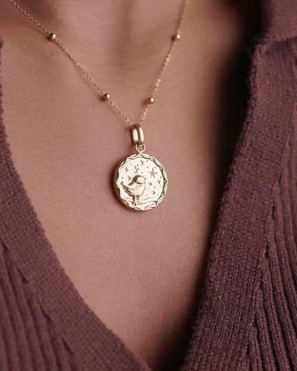 Collier médaille oiseau étoilé